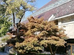 -炎黄艺术馆