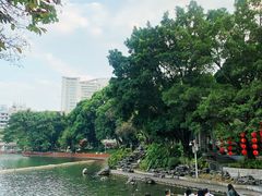 -荔湾湖公园