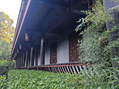 -峨眉山报国寺
