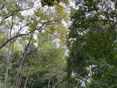 -三门江国家森林公园