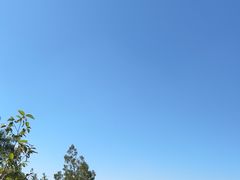 -府君山公园