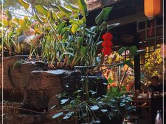 -园林美食城·本土农家菜(杨和镇店)