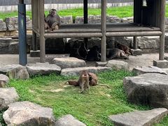 -苏州上方山国家森林公园