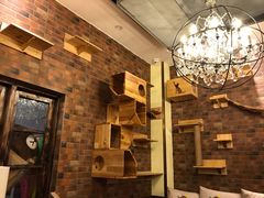 -more than meow吴止猫主题餐厅(承德 中船汇店)