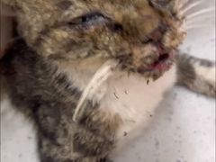 -狗舍宠物医院(四季商业广场店)