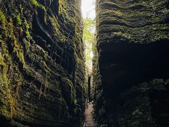 -梭布垭石林景区
