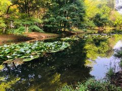 -长白岛森林公园