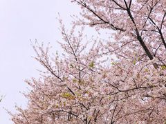 -龙美术馆(西岸馆)