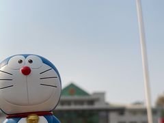 -打洛口岸