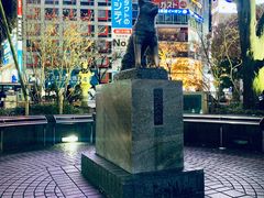 -涩谷区