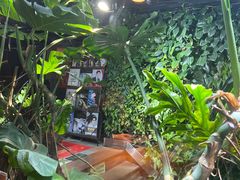 -森味薪火烧•烧鸟居酒屋•日本料理(望京店)