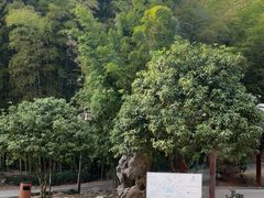 -苏州环秀晓筑养生度假村
