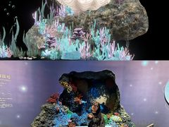 -中国湿地博物馆