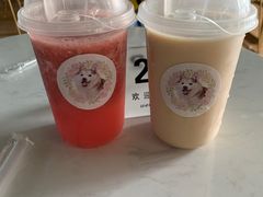 -Husky Go! 哈士奇体验馆·宠物咖啡厅狗咖