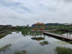 -同銮特种养殖场·龙虾垂钓