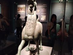 -广西壮族自治区博物馆