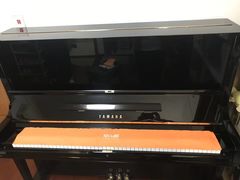 -属音琴行(成山路店)