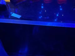 -玩乐大师·奥斯卡(济南店)