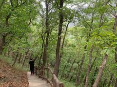 -北京上方山国家森林公园