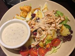 烤鸡肉考博沙拉-机器人火炉披萨