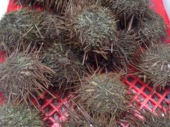 -南沙十九涌渔人码头-南门