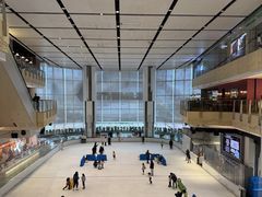 -TheRink大零溜冰场(IFS国金中心店)