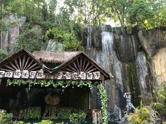 -西双版纳原始森林公园