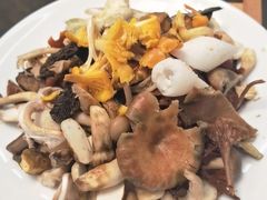 -山菌美食苑(振兴路店)