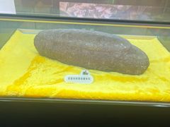 -诸城市恐龙博物馆
