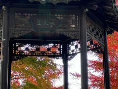 -水绘园