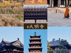 -渌洋湖湿地公园