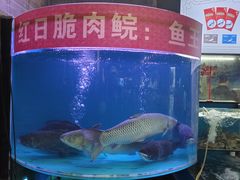 -红日饭店(裕隆三路店)