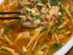 -盐与味葱葱鲫鱼•自贡菜江湖菜(春熙店)