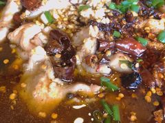 -七菜馆·东北菜·蒸饺(文体路店)