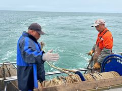 -日照世帆赛基地