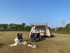 -春花秋色城市公园