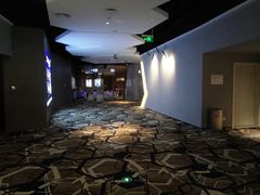 -星河寰宇IMAX影城(星河WORLD·COCO Park店)