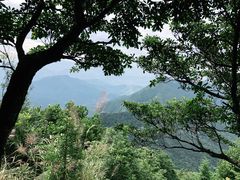 -梧桐山风景名胜区