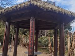 -桐乡植物园