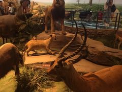 -陕西自然博物馆