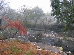 -祁门牯牛降观音堂风景区