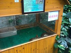 -上海大自然野生昆虫馆(东方明珠·爬宠昆虫探索中心)