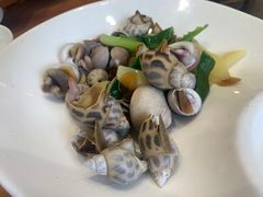 白灼香螺-金地利海鲜酒楼(清凉门店)