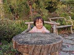 -东莞植物园