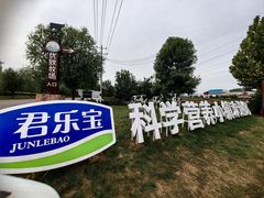 -君乐宝优致牧场