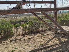 -河北村民俗体验园