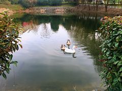 -天目湖涵田半山温泉
