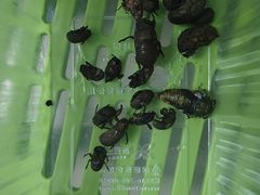 -鉴湖国家城市湿地公园