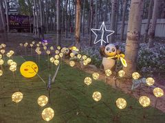 -枫花园汽车电影院(朝阳公园店)