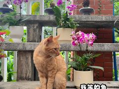 -广州兰圃